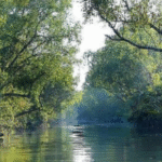 Discover the Wonders of Nature with Sundarban Travels: An Unforgettable Journey Awaits