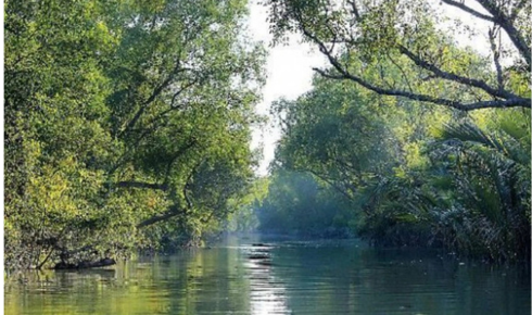 Discover the Wonders of Nature with Sundarban Travels: An Unforgettable Journey Awaits