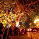 How Earth Festivals and Environmental Cinema Are Shaping Conscious Culture in India