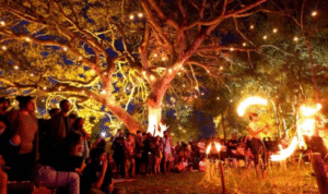 Nilgiris Earth Festival