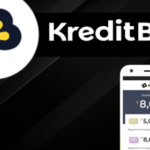 How to Resolve KreditBee Issues Quickly Without Stress